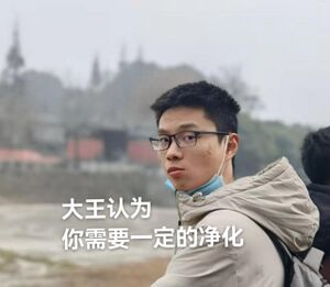 熊酱表情包