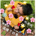 表情包